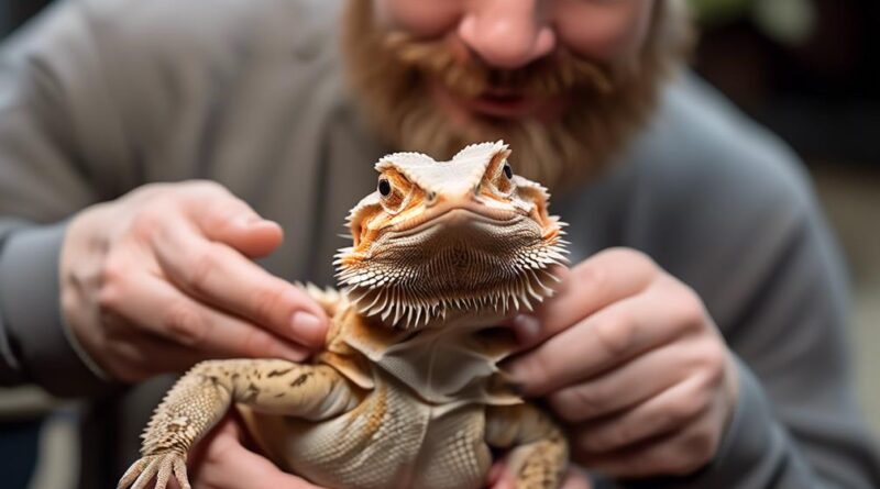 bearded dragon care guidelines