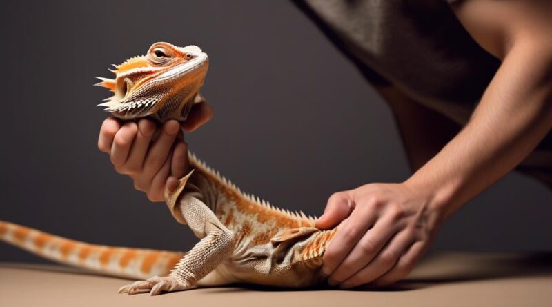 bearded dragon handling techniques