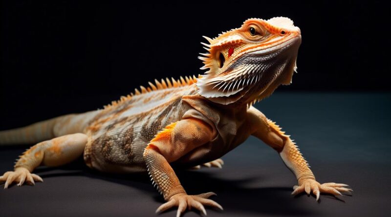 bearded dragon health concerns