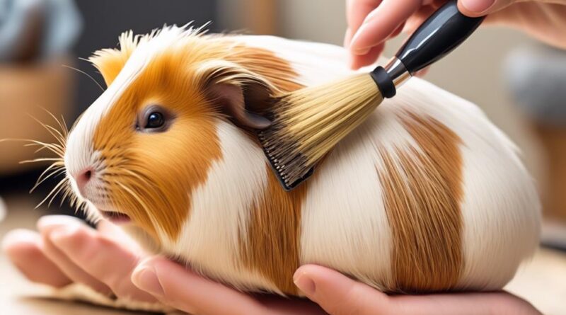 expert advice for grooming guinea pigs