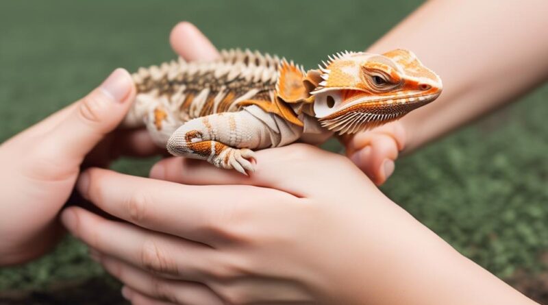 gentle handling for bearded dragons