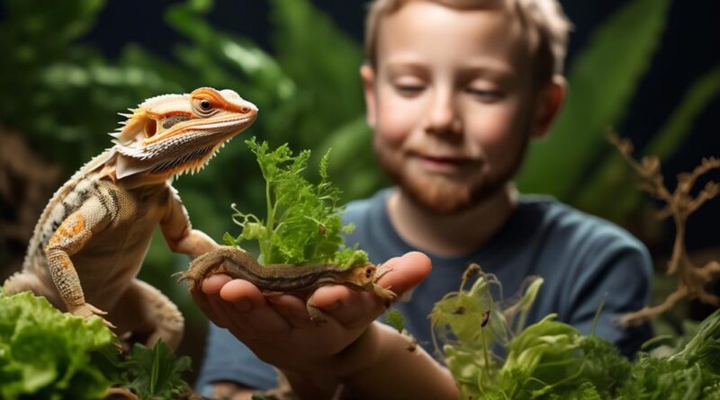 handling baby bearded dragons