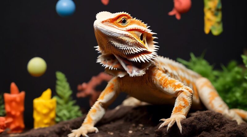 importance of bearded dragon enrichment