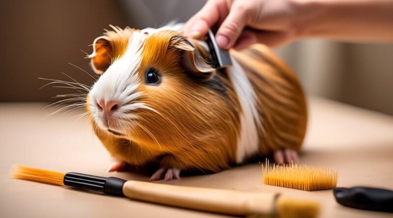 importance of guinea pig grooming