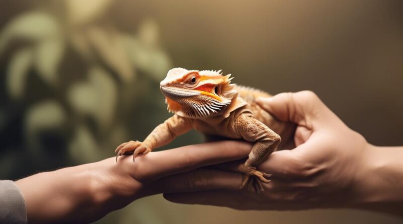 safe care for bearded dragons